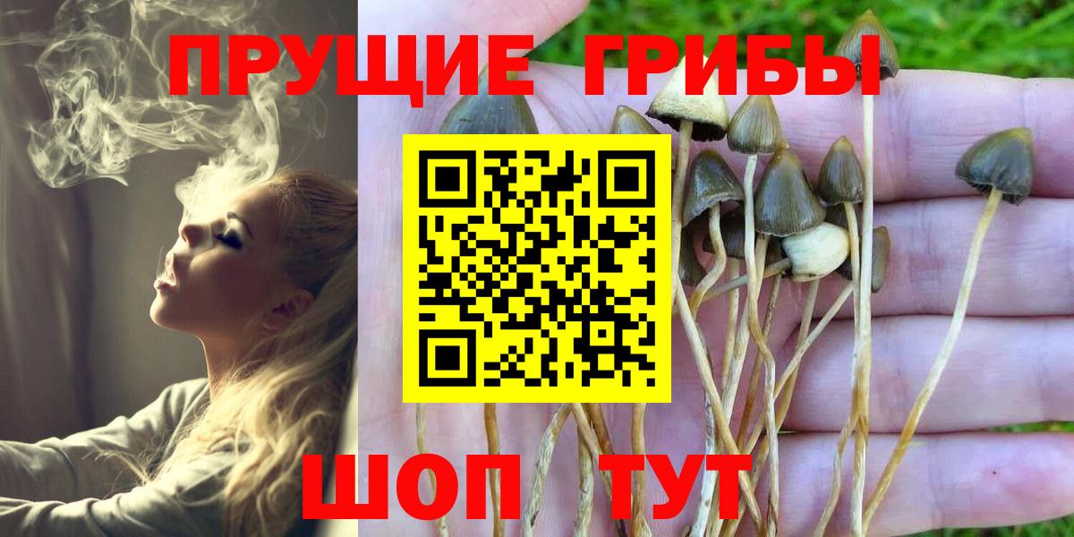 Солнечногорск  Псилоцибиновые грибы ЛСД  Псилоцибиновые грибы мицелий  Вход с VPN 